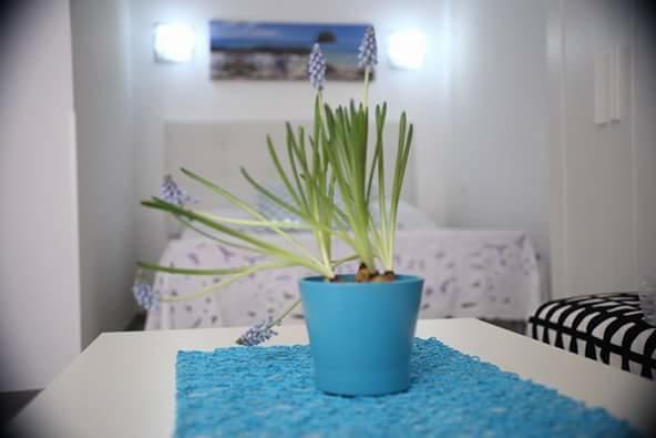 You & Me House Ceglie Messapica Eksteriør billede